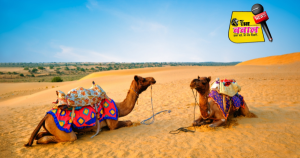 First Camel Rescue Research Center Will Open In Jaisalmer hindi news