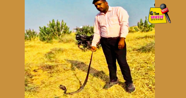 five Feet Long Cobra Snake Scared People in jaisalmer News